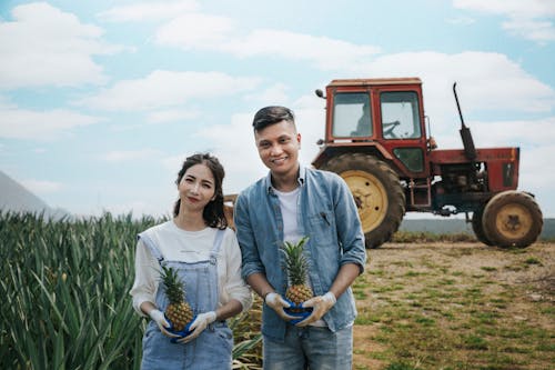 Happy ethnic couple with ripe pineapples in field on summer day