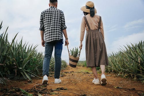 Man And Woman Holding A Bag With Pineapple Inside