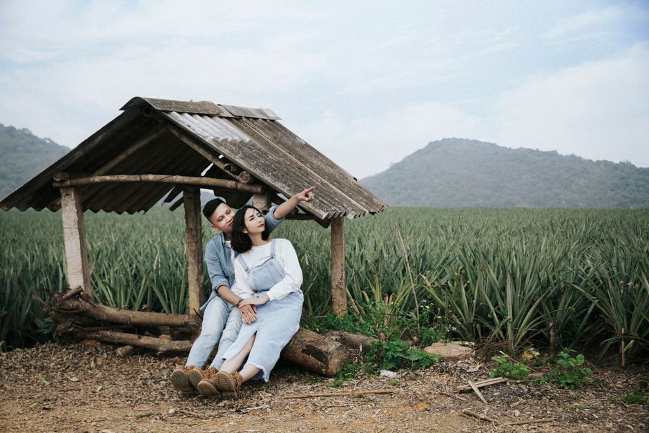 Why Ninh Binh? Forget the Crowds, Embrace the Scenery Why Ninh Binh? Forget the Crowds, Embrace the Scenery