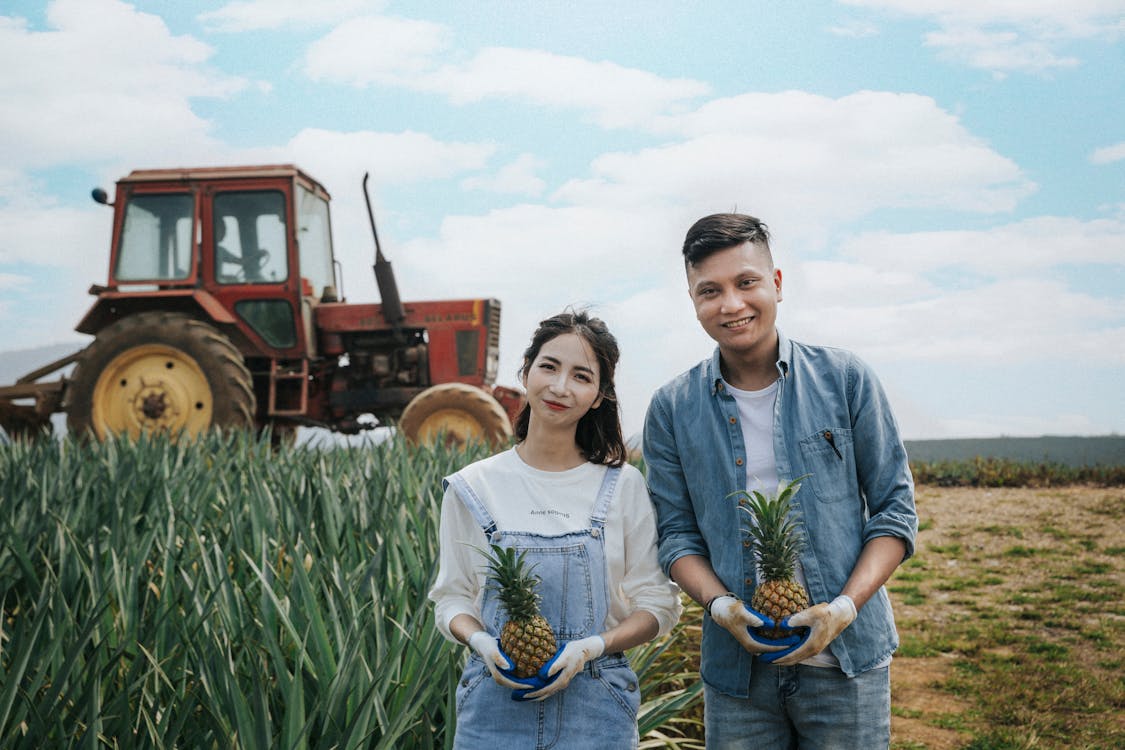 Man And Woman Holding Pineapple Fruit