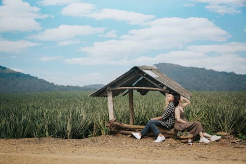 Free Man And Woman Sitting On A Log Stock Photo