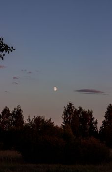 Serene twilight scene with a crescent moon above silhouetted trees.