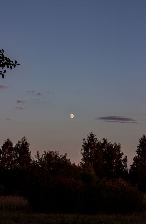 Free Serene twilight scene with a crescent moon above silhouetted trees. Stock Photo
