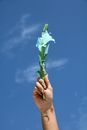 手握蓝色剑兰花，映衬着明亮的天空，象征着希望与积极
