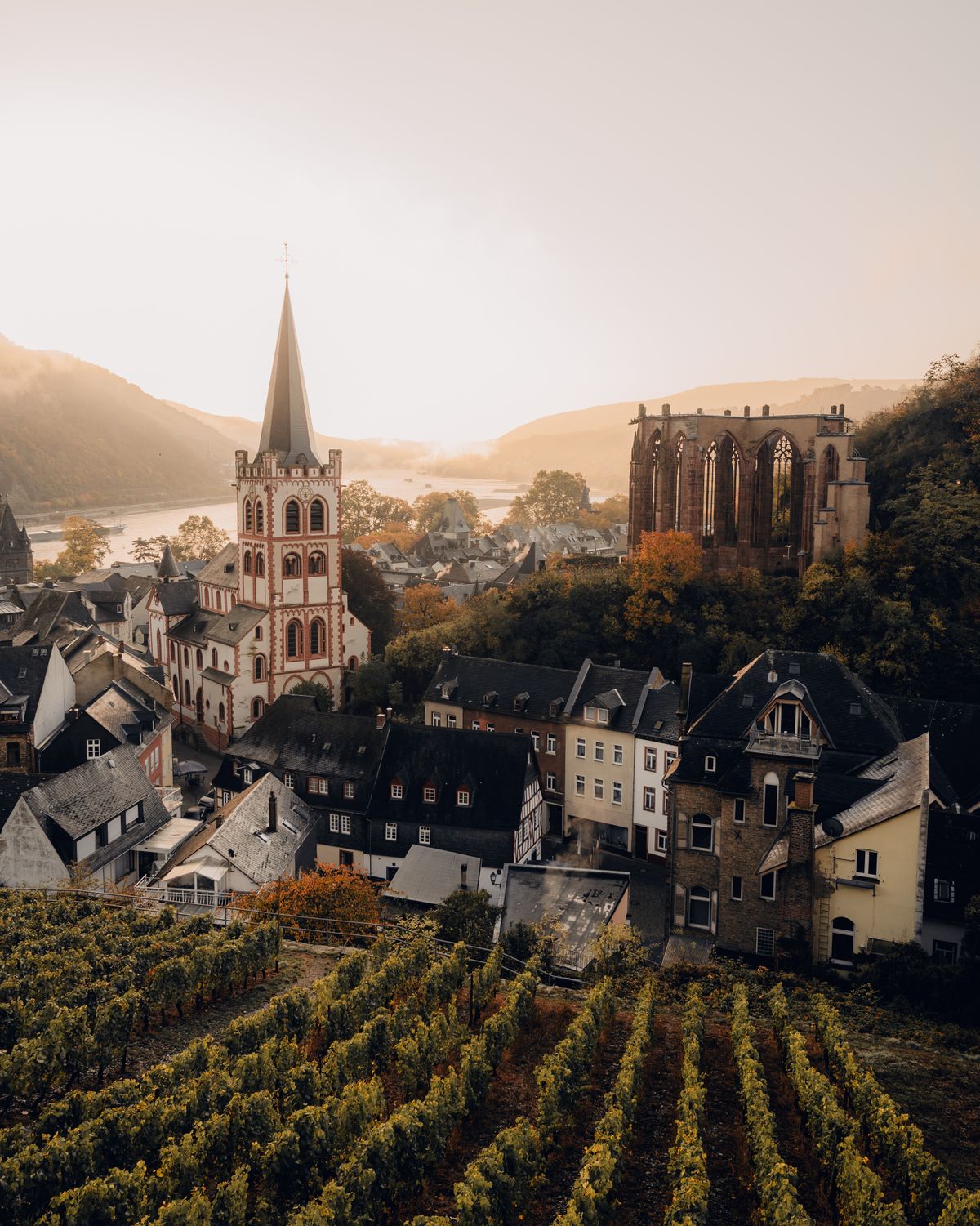 Bacharach and its vineyard terraces at sunrise