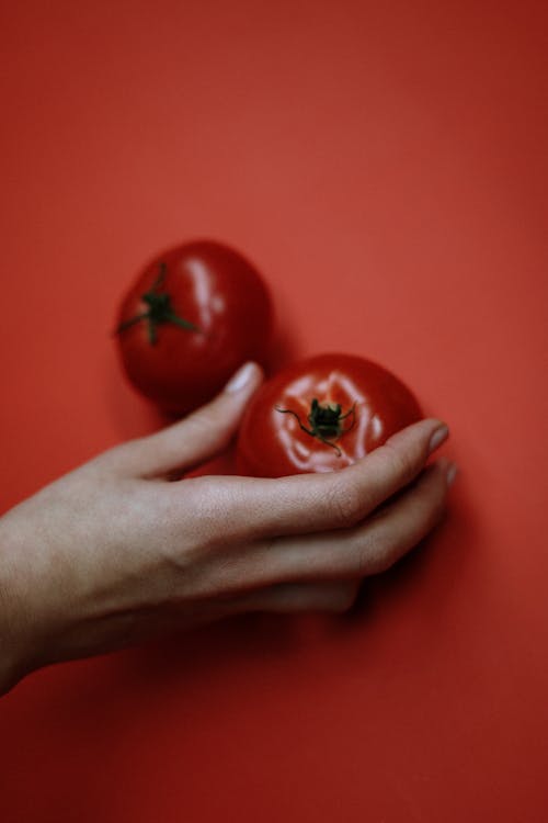 Person Holding Two Red Tomato