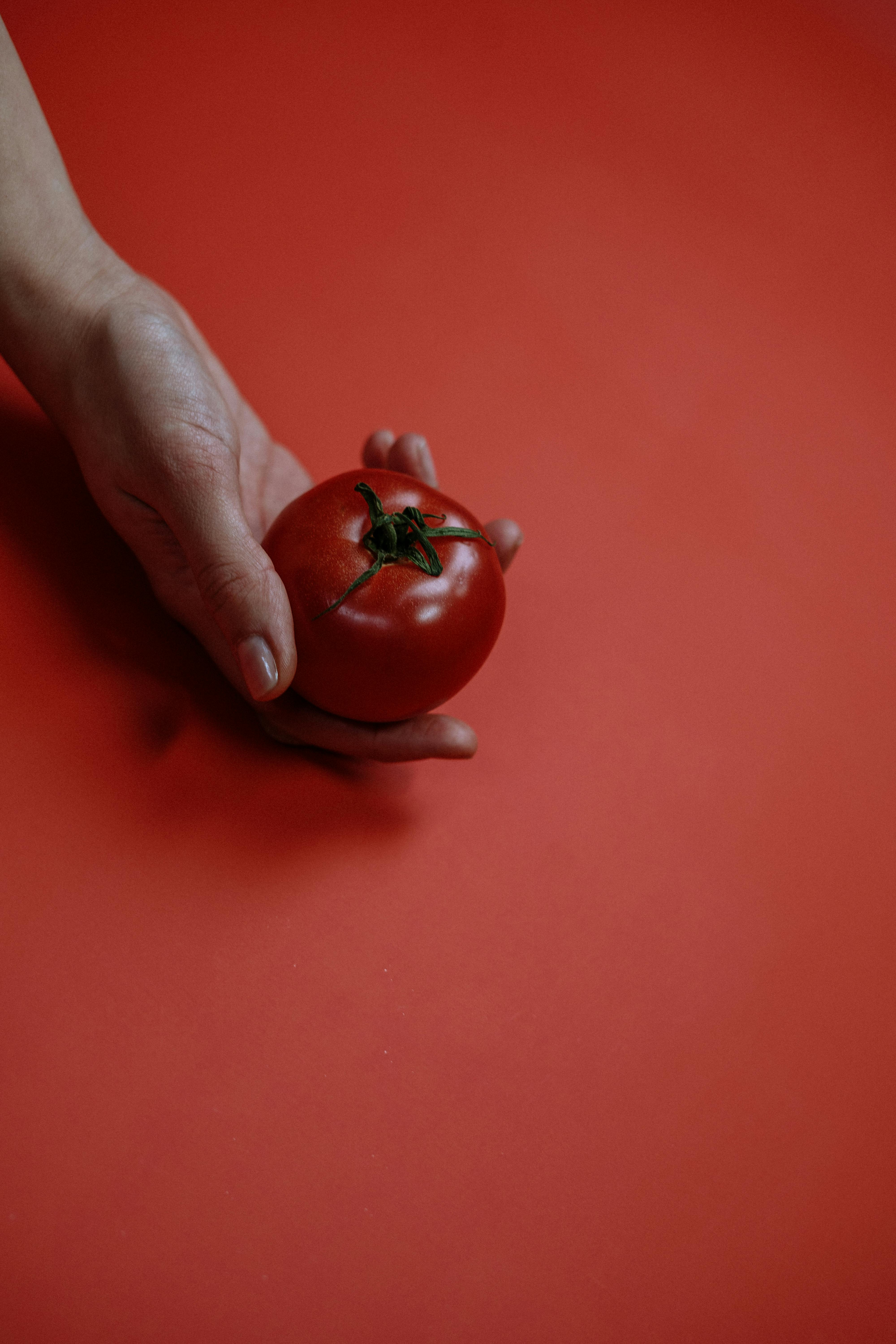 grátis Foto profissional grátis de agressivo, agricultor, alegre Foto profissional