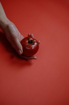 A single hand presenting a ripe red tomato on a monochromatic red background, symbolizing freshness and simplicity.