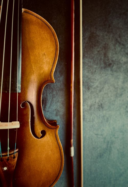 Free Detailed close-up of a violin showcasing its elegant contours and strings against a textured backdrop. Stock Photo