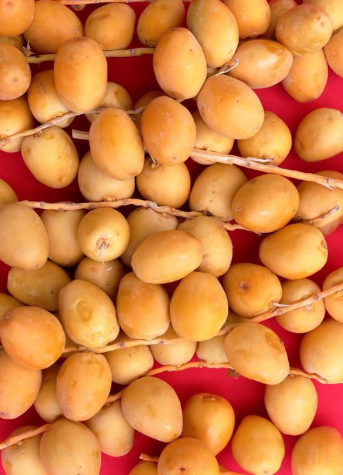 Free Close-up of ripe dates on a vibrant red background, showcasing natural textures and warm tones. Stock Photo