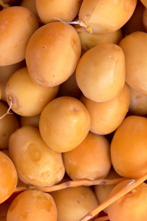Free Fresh and sweet yellow dates clustered together, showcasing their natural vibrant color and texture. Stock Photo