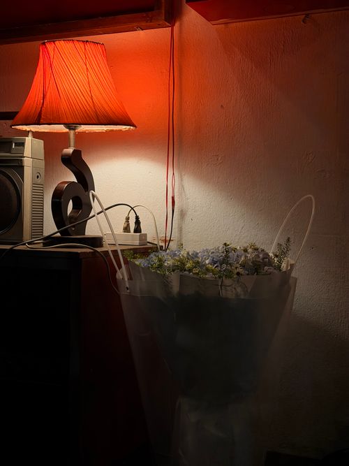 Free A warm, intimate corner featuring a red lamp and flowers. Stock Photo