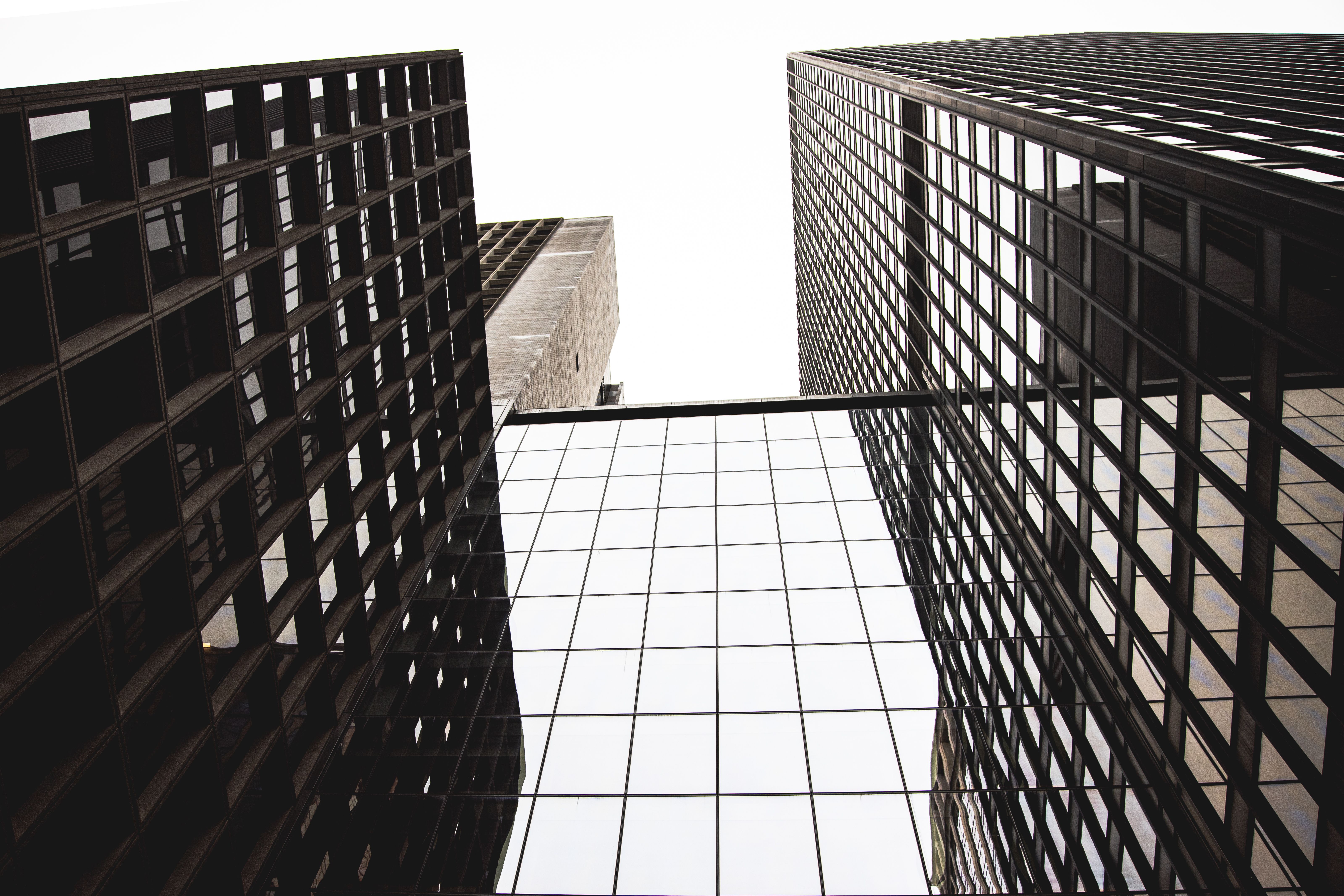 Clique Management, LLC SEO For Landscaping Companies New York, NY