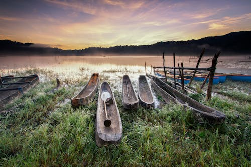 Free Canoes on Body of Water Stock Photo