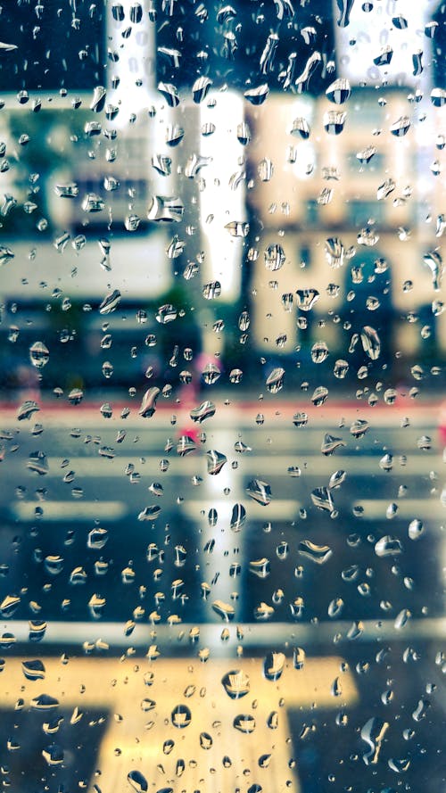 Free stock photo of drop, drop of water, rain