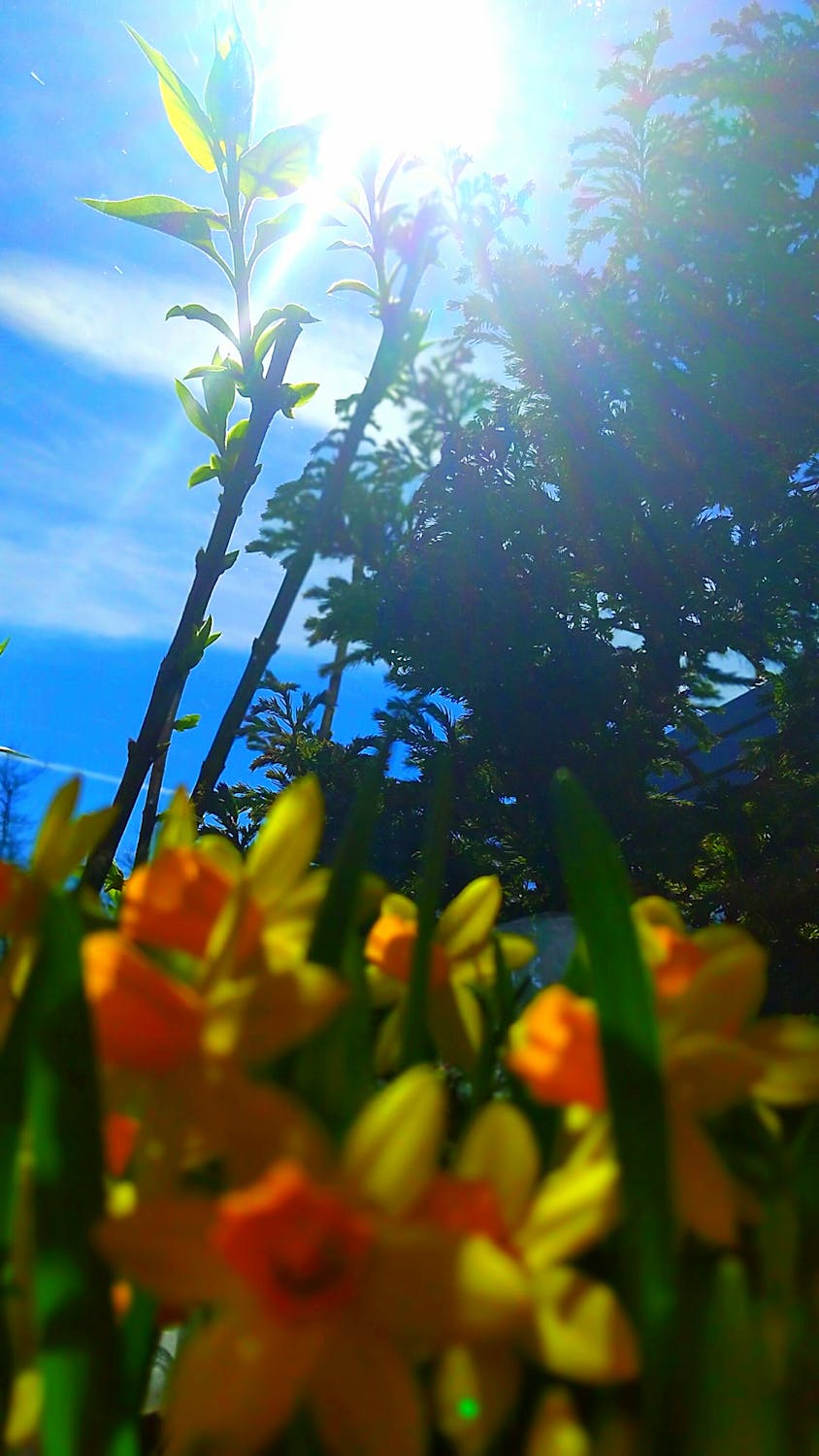 Boston Financial Mobile App