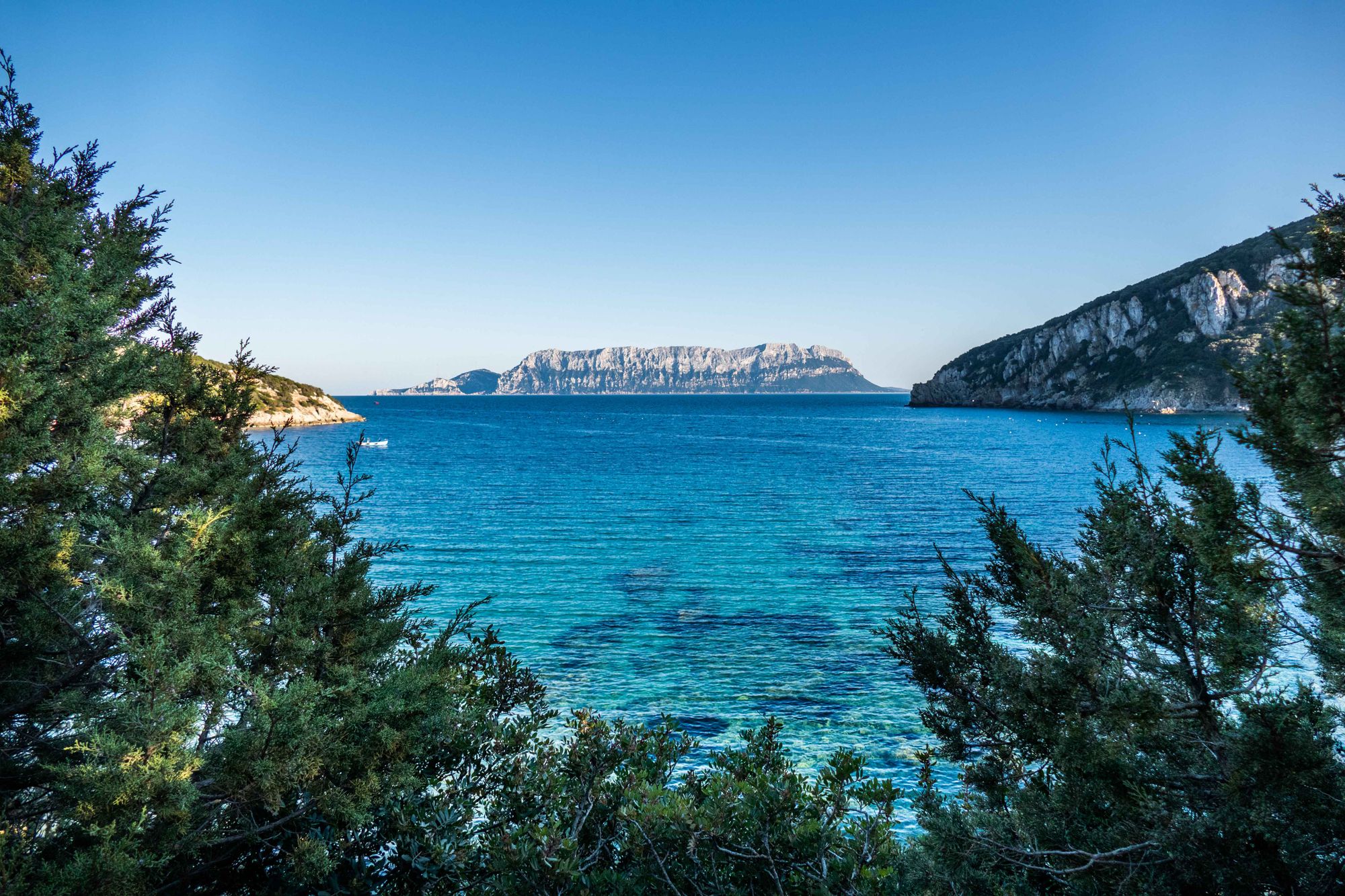 Olbia (Sardaigne)