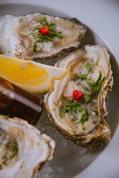 Free Close-up of fresh oysters garnished with herbs and lemon on ice, ideal for seafood lovers. Stock Photo