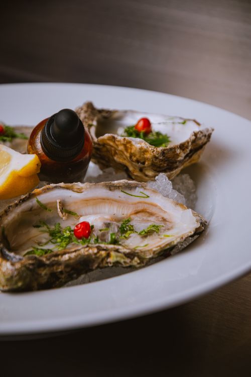 Free Close-up of fresh oysters on ice garnished with herbs and lemon slice. Stock Photo