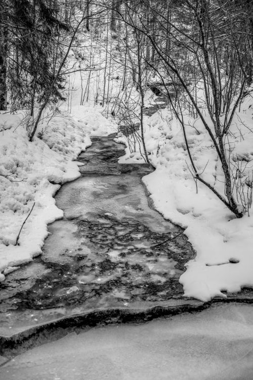 Free A scenic black and white photograph of a snow-covered stream winding through a winter forest. Stock Photo