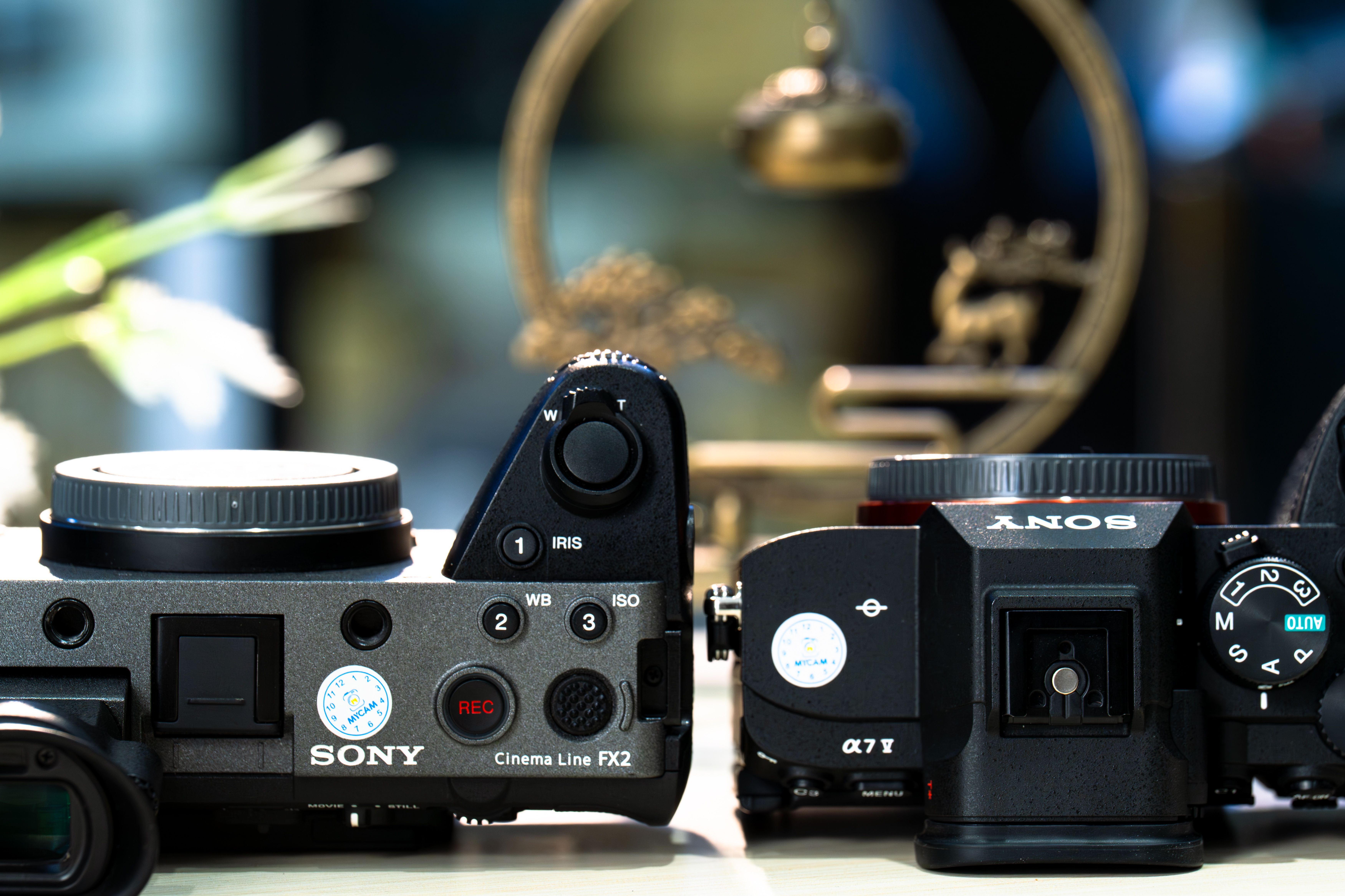 Close-up of two advanced digital cameras, showcasing design and controls.