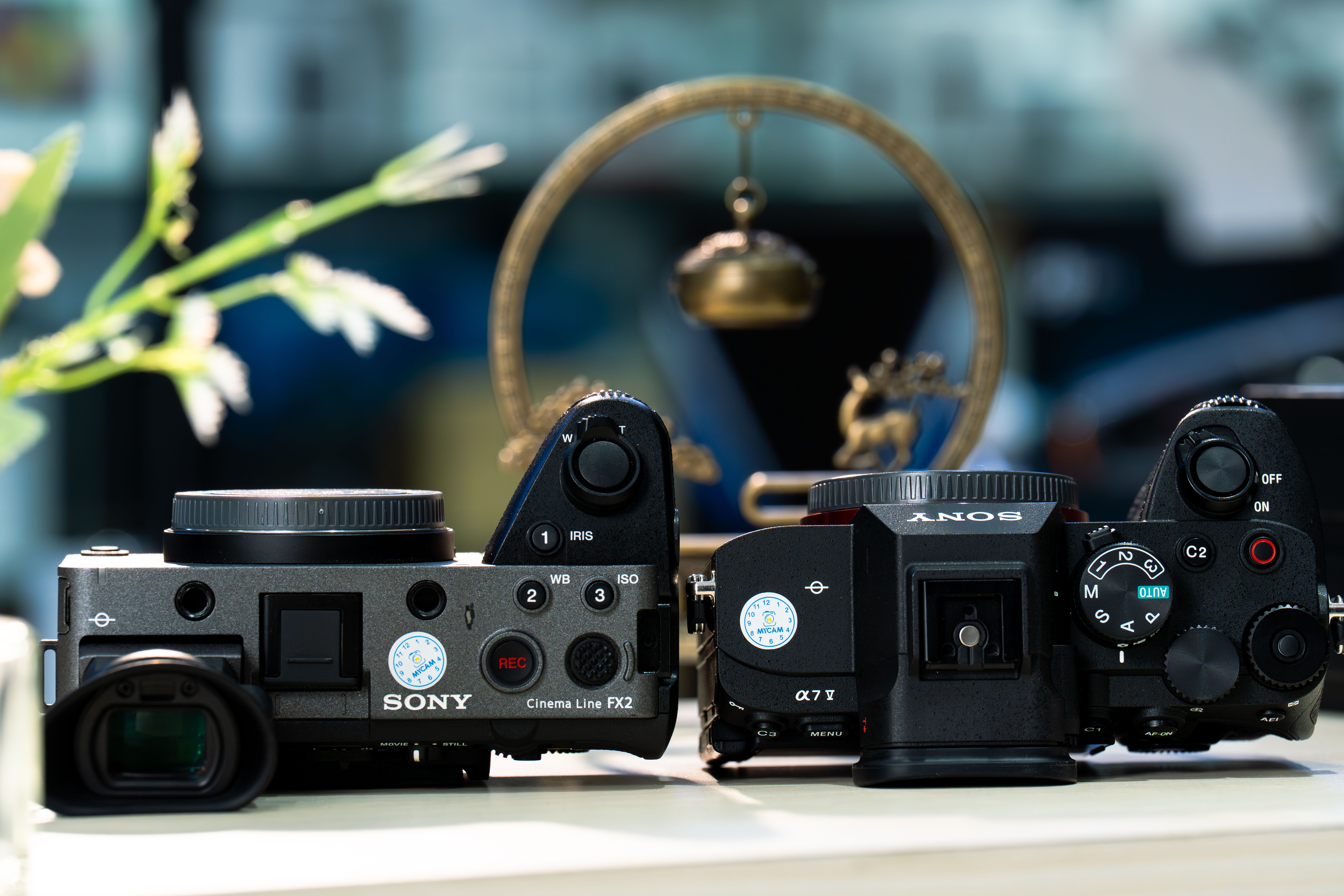 Two professional digital cameras displayed side by side with blurred background.