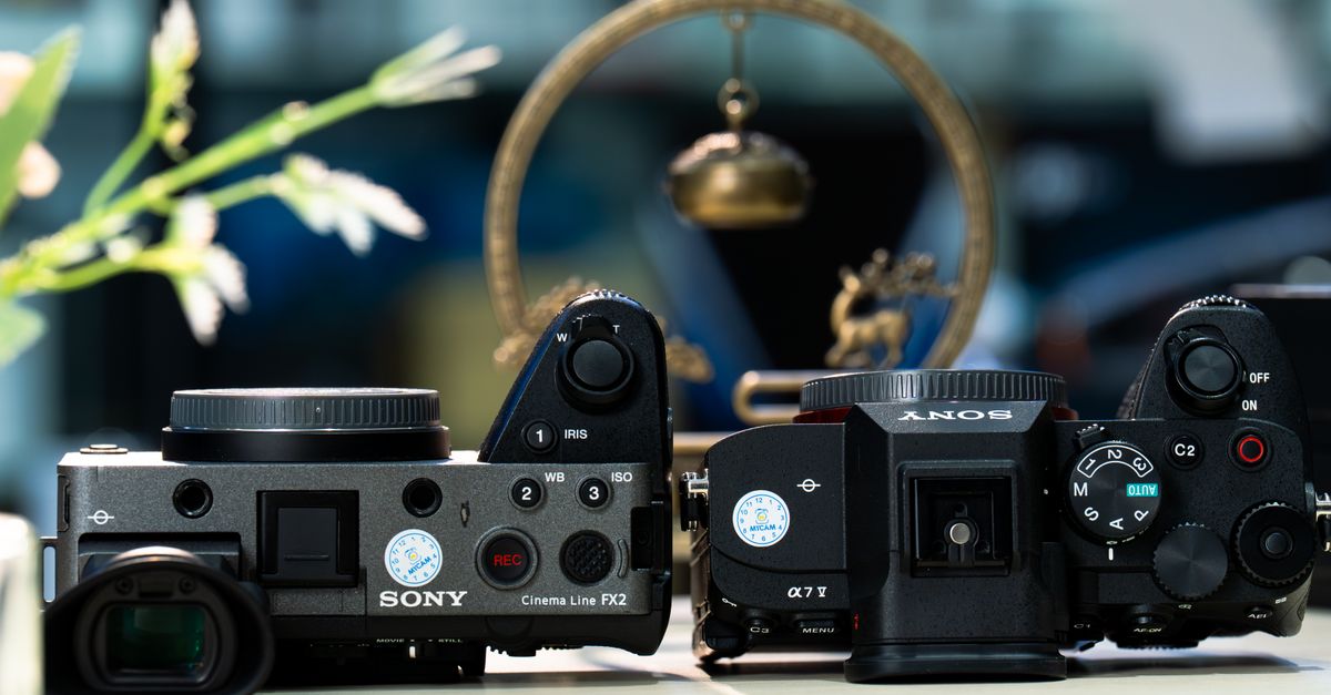 Two professional digital cameras displayed side by side with blurred background.