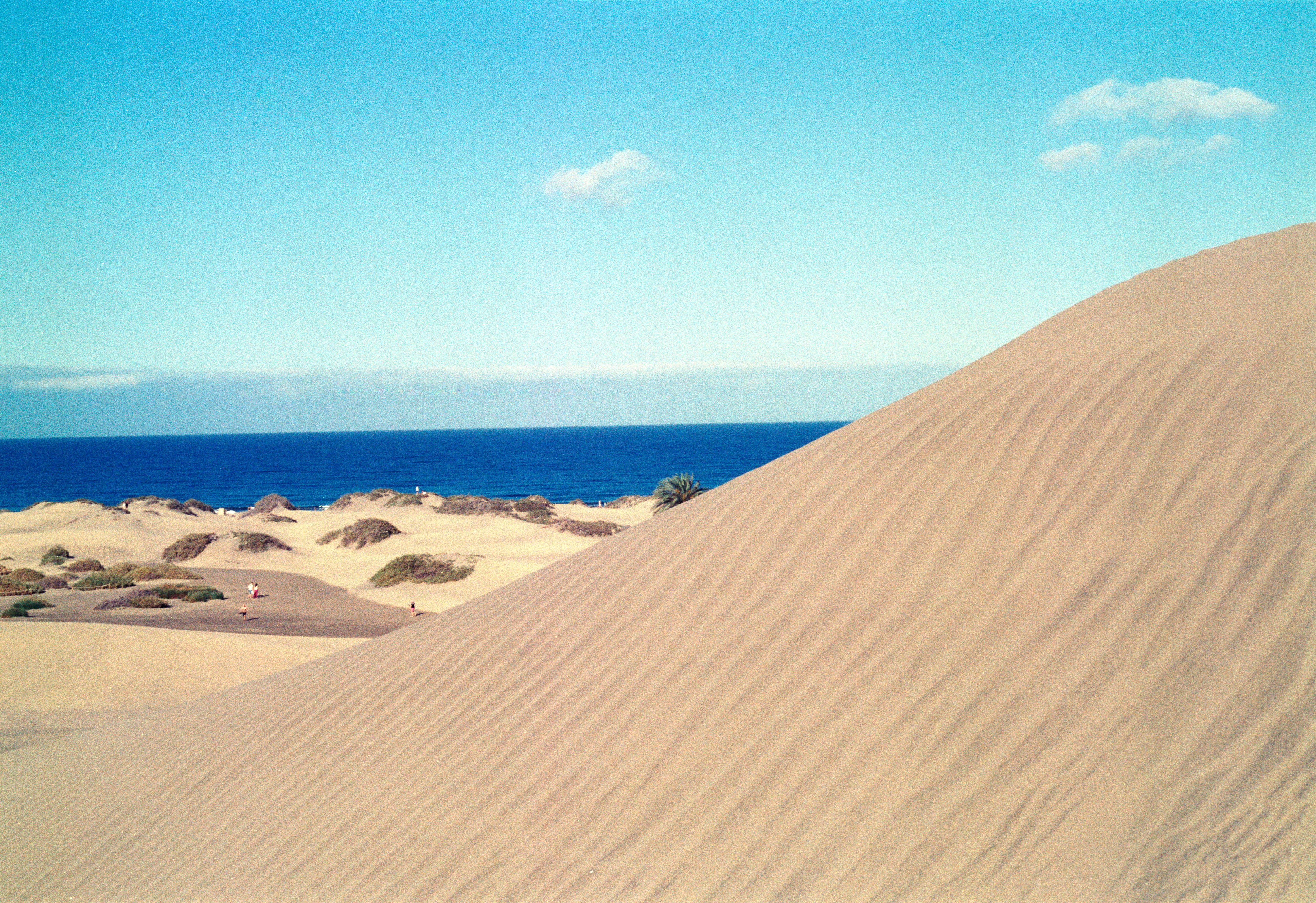 Maspalomas sand dunes meeting the blue ocean in Gran Canaria, a top pick for the best Canary Island for winter