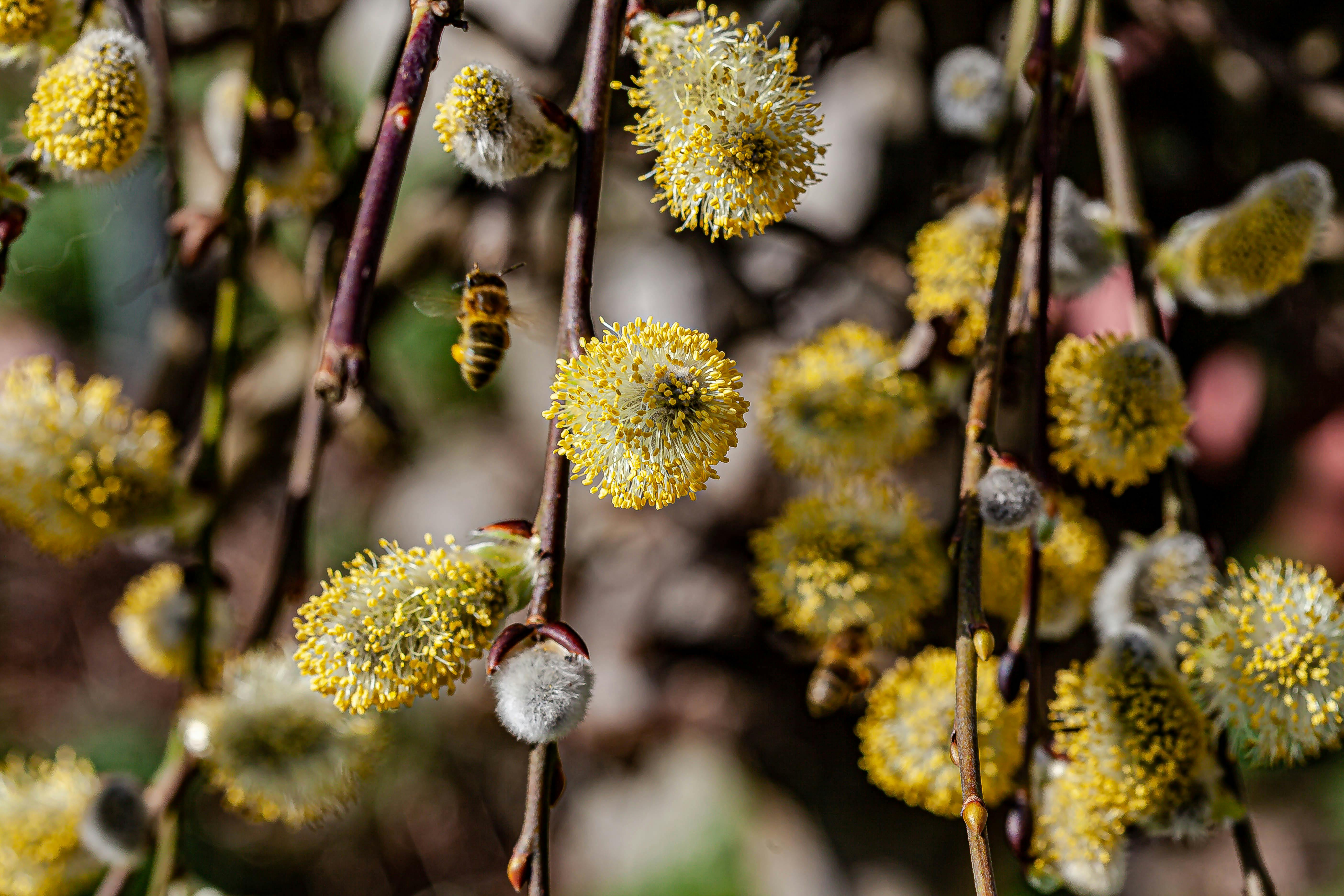 Pessoa lendo notícias em um smartphone