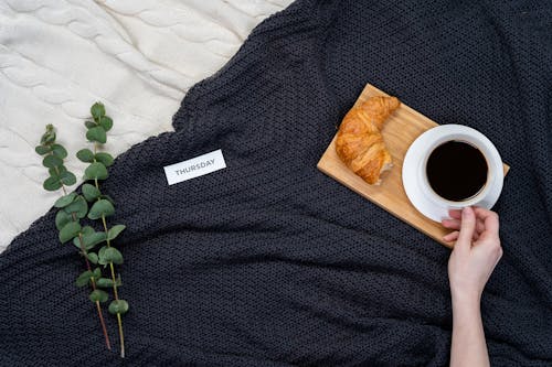 battaniye, battaniyeler, bitki içeren Ücretsiz stok fotoğraf