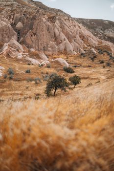 Explore the breathtaking landscape of Cappadocia with its unique rock formations and golden terrain.