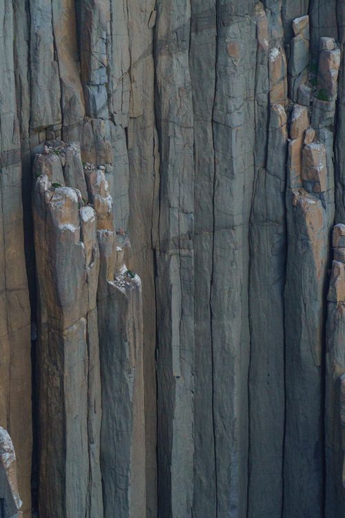 Free View of striking basalt columns at Cape Raoul in Tasmania, showcasing natural geological formations. Stock Photo