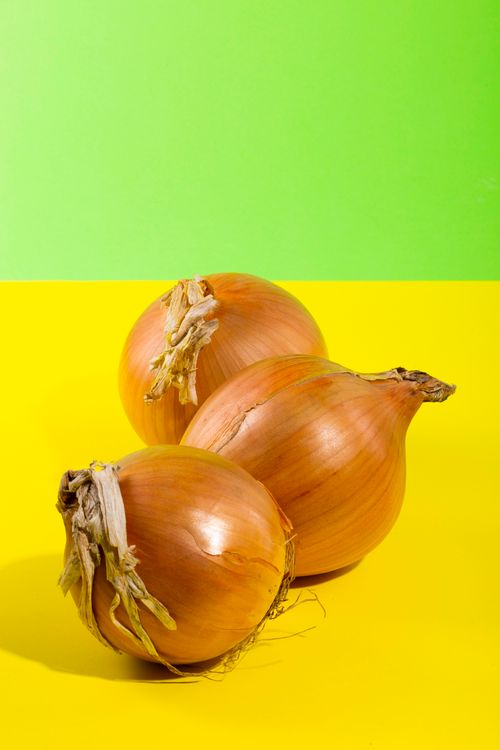 Free Three fresh onions on a vibrant yellow and green background, isolated in studio. Stock Photo