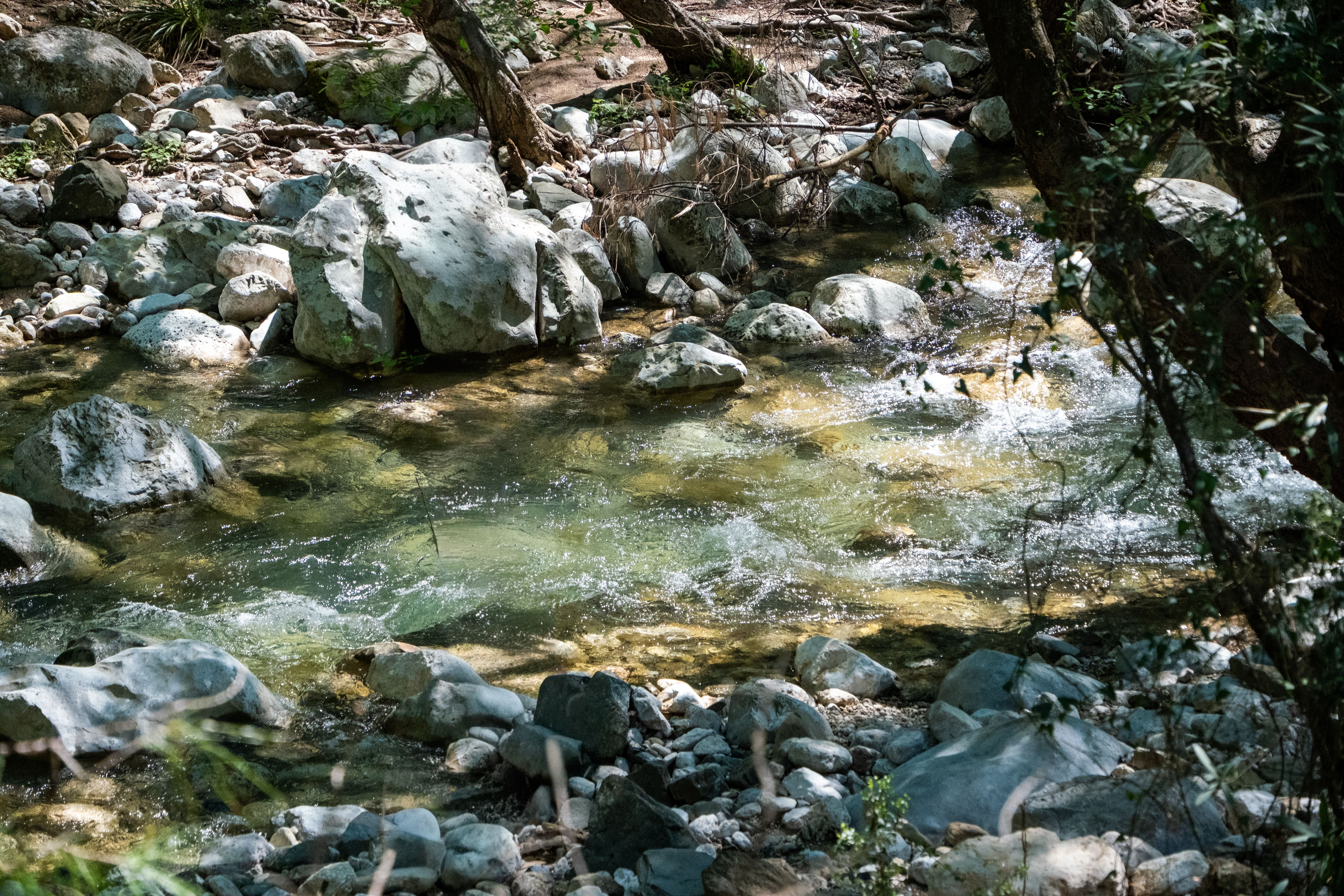 Forest stream flowing over rocks in the Texas Hill Country