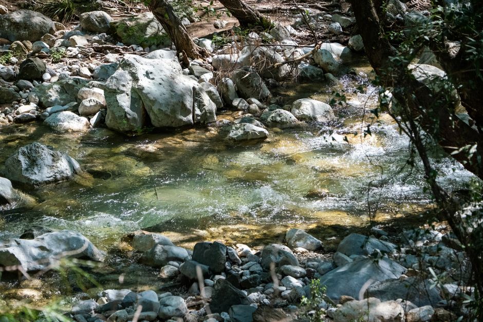 Forest stream flowing over rocks in the Texas Hill Country