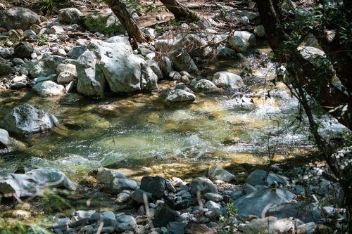 Free Peaceful stream flowing through a forest with rocks and clear water. Stock Photo