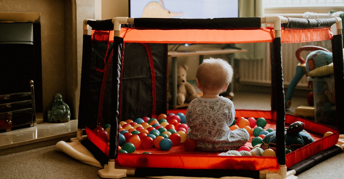 Creating a Pet Zone That Balances Fun and Safety