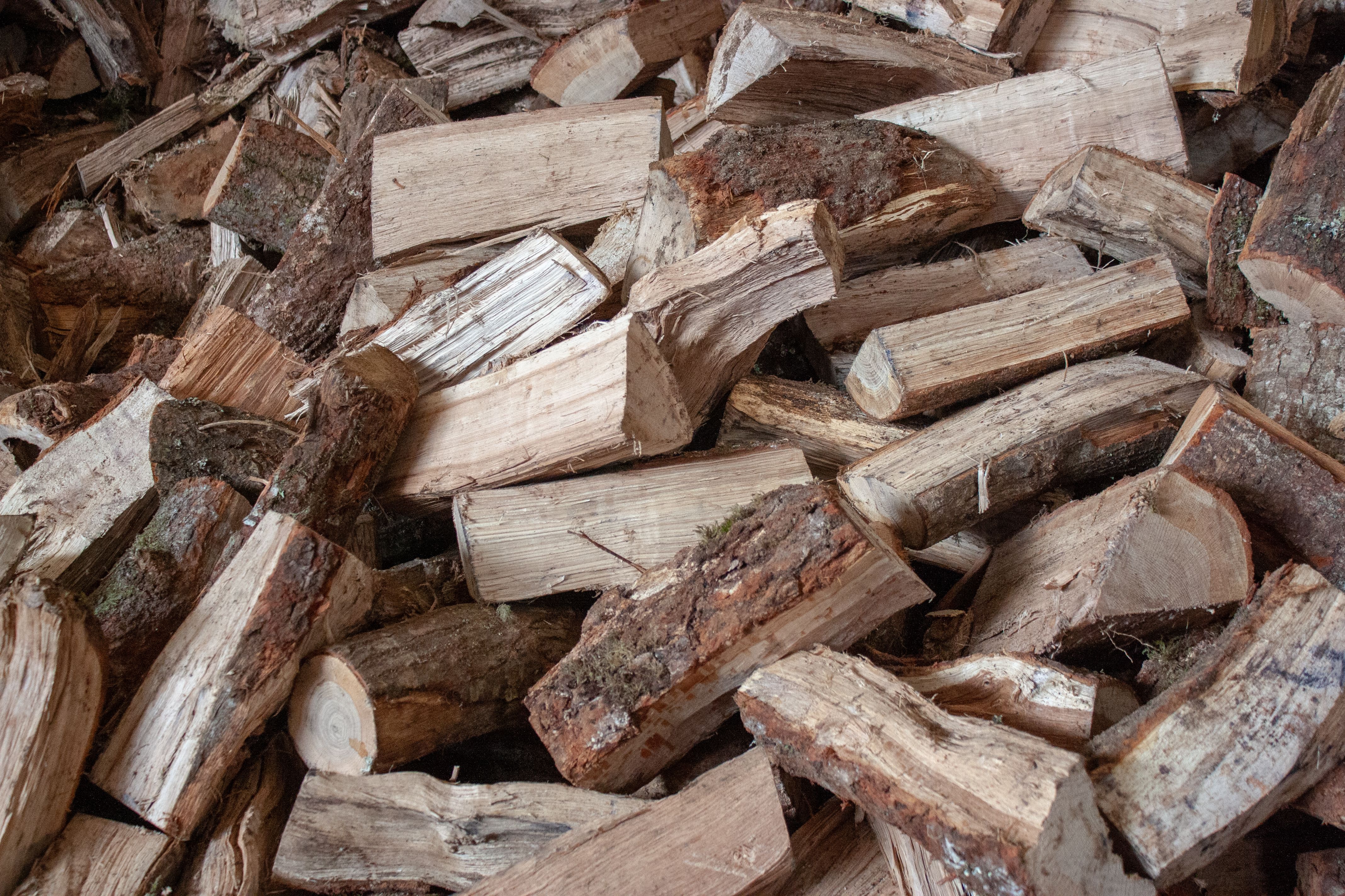 Fuel wood, in logs, billets, twigs, faggots or similar forms; wood in chip or particles; sawdust and wood waste and scrap, whether or not agglomerated in logs, briquettes, pellets or similar forms