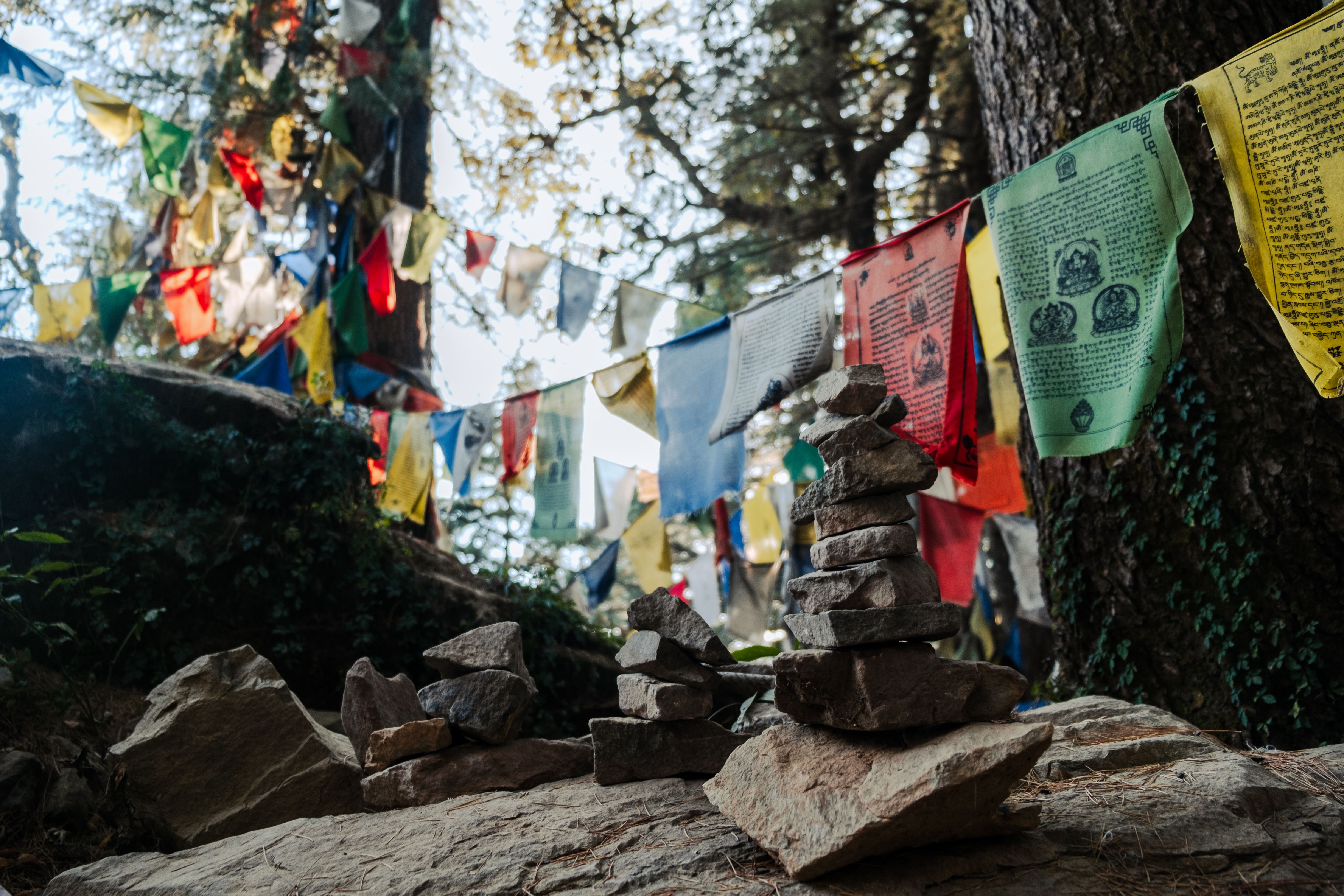 Travel inspiration for Dharamshala’s Little Tibet: A Spiritual Culture and Food Journey