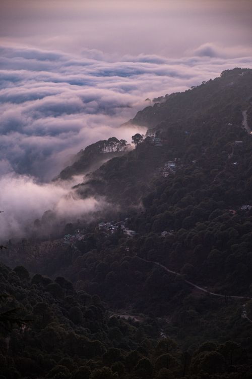 Free Beautiful misty mountain landscape in Dharamshala, India during twilight. Stock Photo