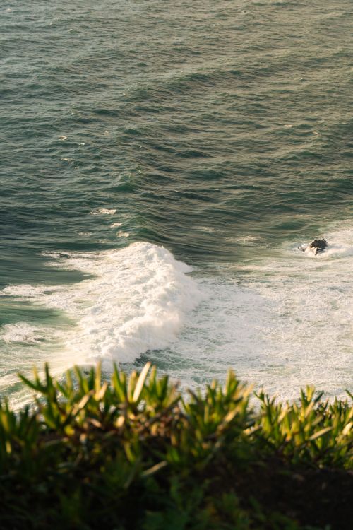 Free A picturesque view of ocean waves crashing against a rocky shoreline with lush greenery in the foreground. Stock Photo