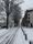 snowfall