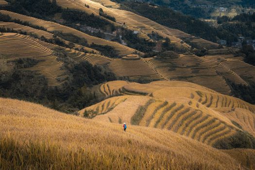 A lone traveler explores the picturesque terraced fields of Guilin, China.