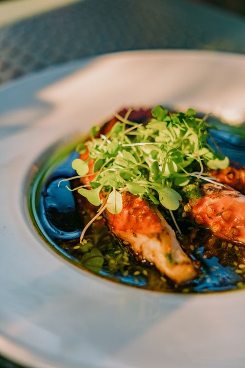 Free Delicious gourmet plate featuring grilled octopus garnished with fresh microgreens under warm lighting. Stock Photo