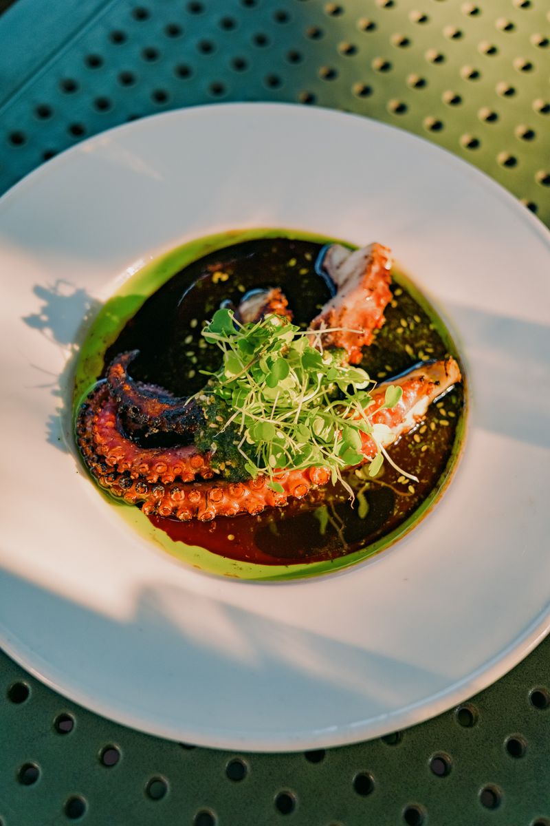 Grilled octopus garnished with herbs