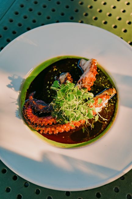 Fotomural Delicioso pulpo a la parrilla servido con microvegetales en un plato moderno.
