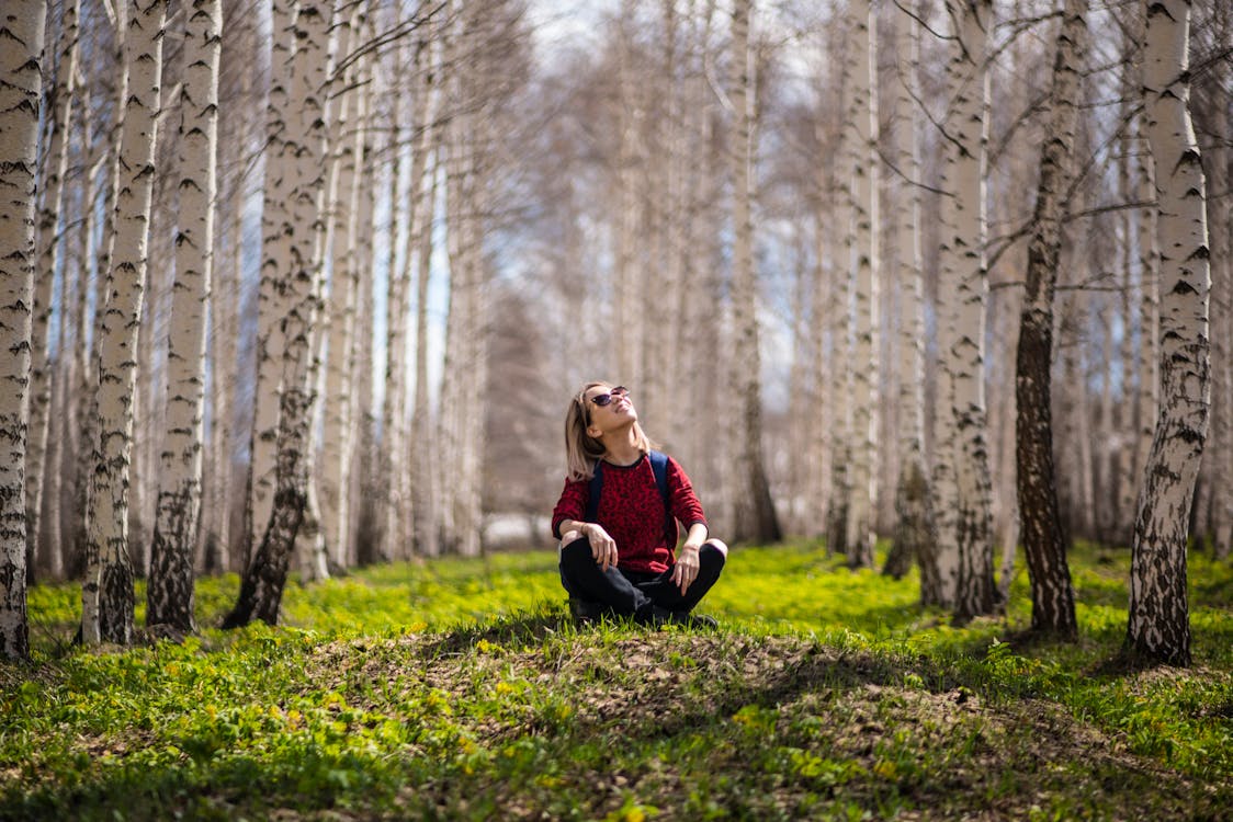 Kahverengi Ağaçlar Arasında Oturan Kadın