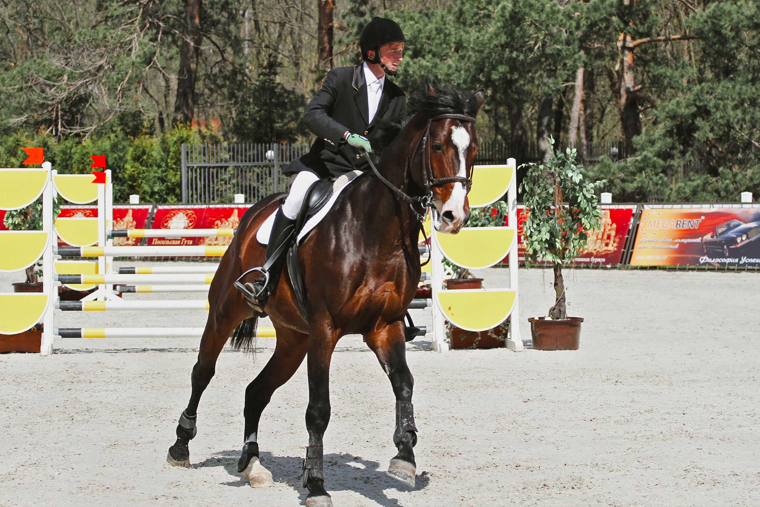 Equestrian rider on a horse, competing in an outdoor jumping event.
