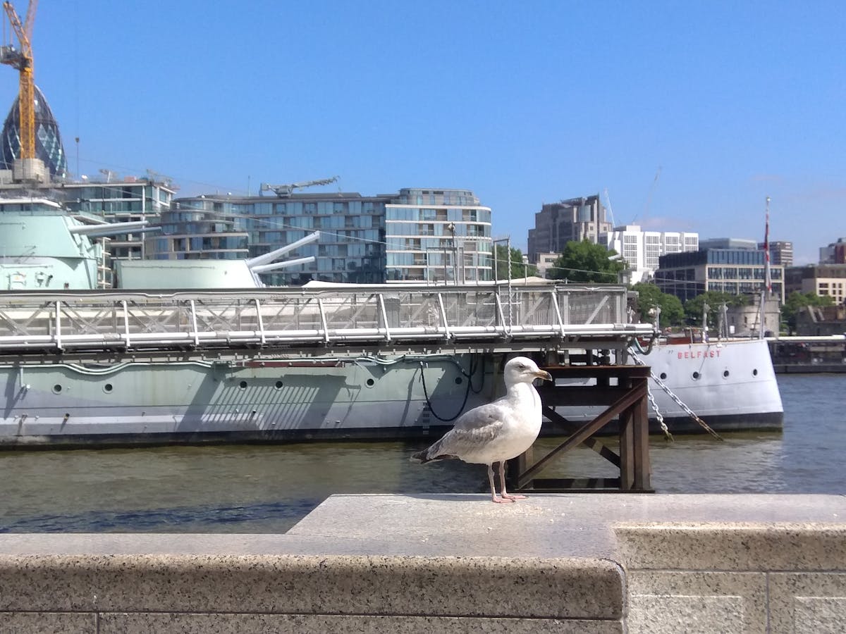 3D Game Asset Pack - Fantasy