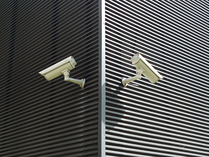 SailPoint Posts Strong Q2 Growth Driven by AI Identity Security Demand